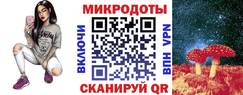 что такое Питкяранта Псилоцибиновые грибы мицелий